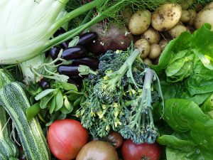 En härlig augustiskörd med broccoli, tomat, potatis, fänkål, squash och sallat.
