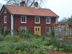 En höstig köksträdgård framför ett rött boningshus.