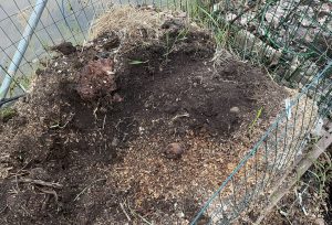 En ful komposthög i kompostgaller.